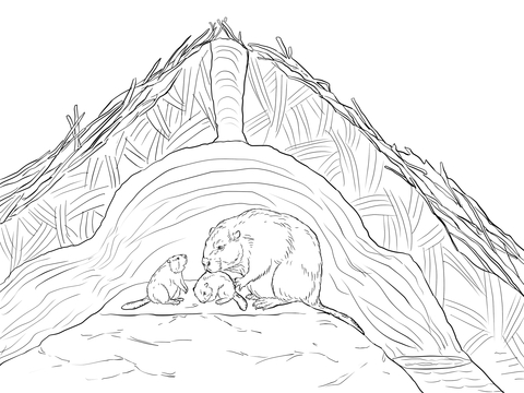 Beaver Lodge Coloring Page